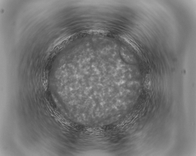 X0000087021015200705141851