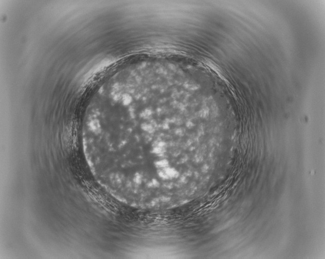 X0000087021016200705141851