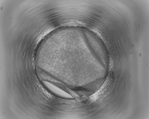 X0000087021018200705141851