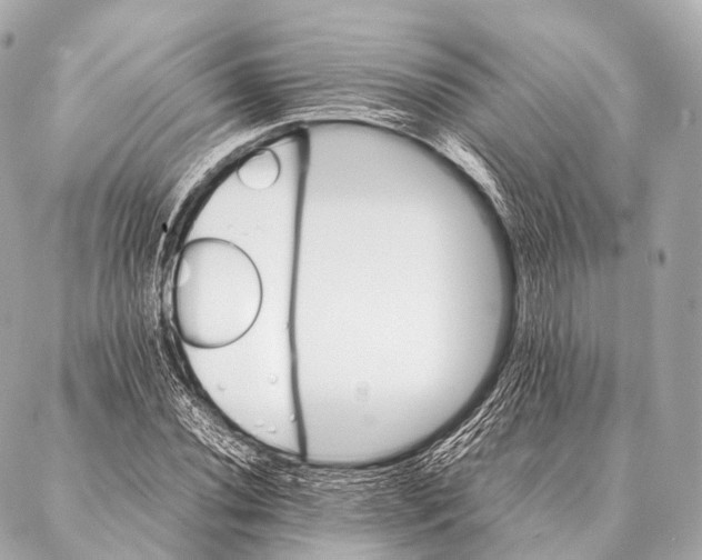 X0000087021020200705141851