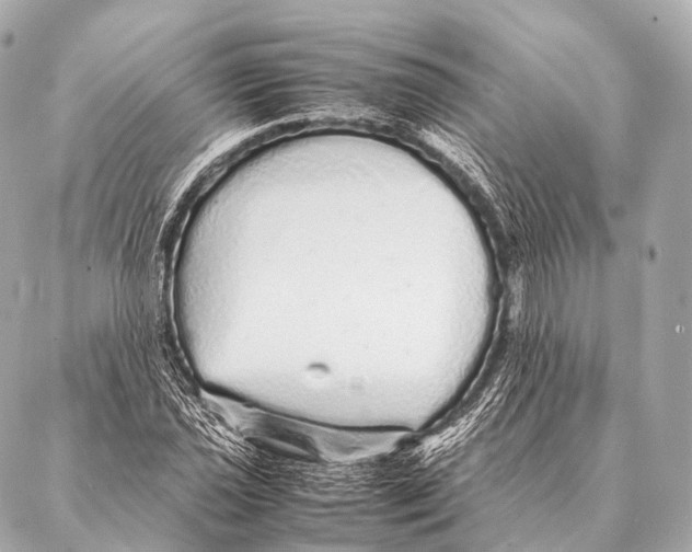 X0000087021021200705141851