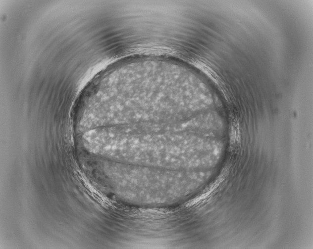 X0000087021022200705141851