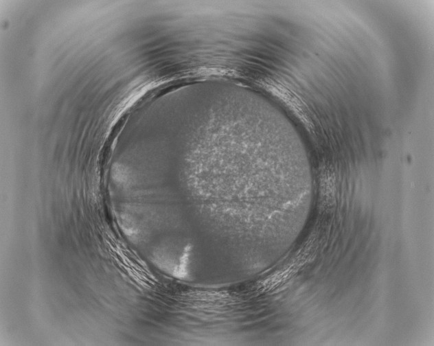 X0000087021023200705141851