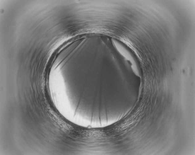 X0000087021024200705141851