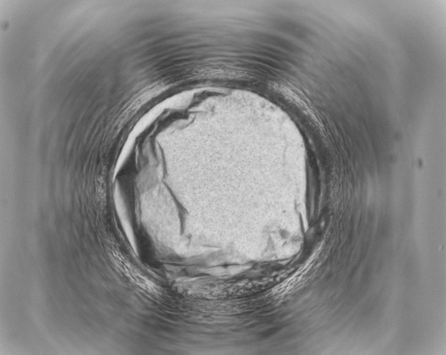 X0000087021025200705141851