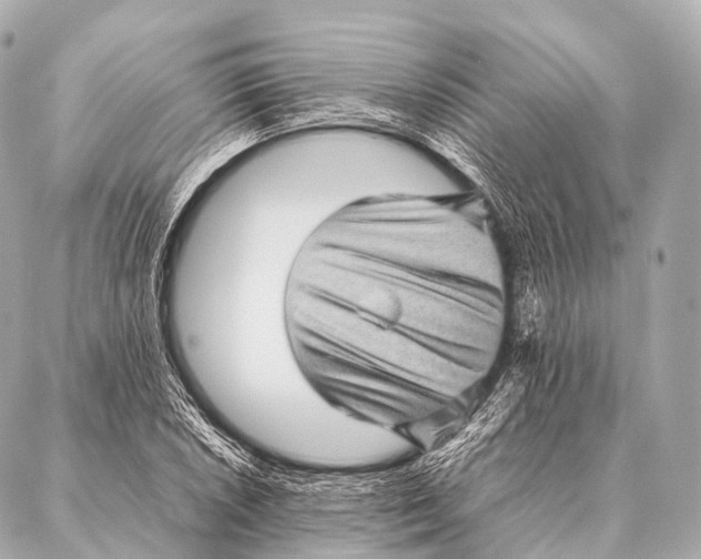 X0000087021026200705141851