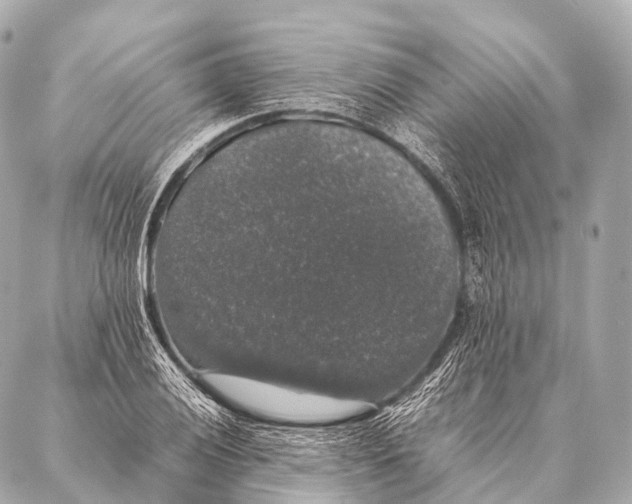 X0000087021028200705141851