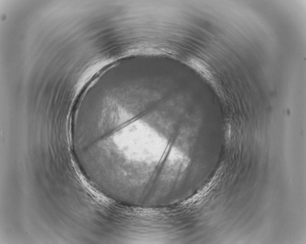 X0000087021030200705141851