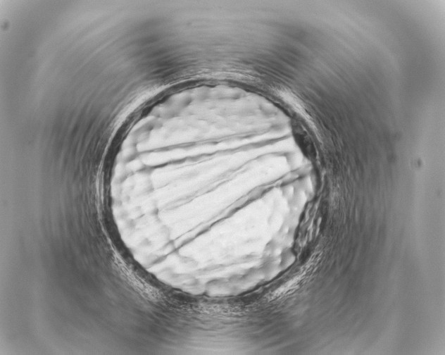 X0000087021032200705141851