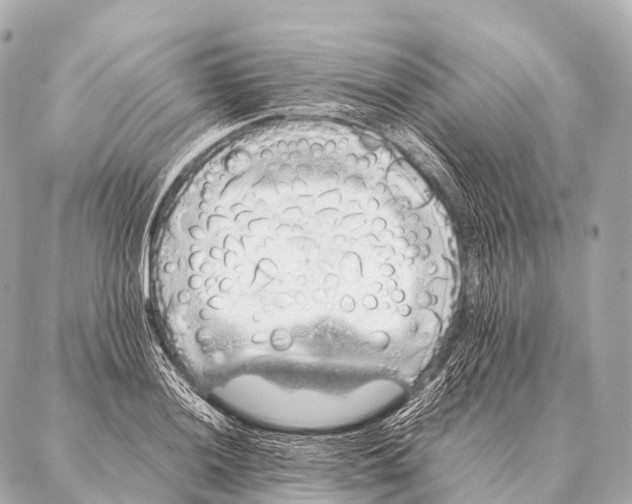 X0000087021036200705141851