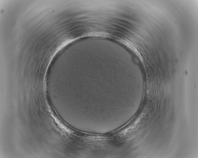 X0000087021037200705141851