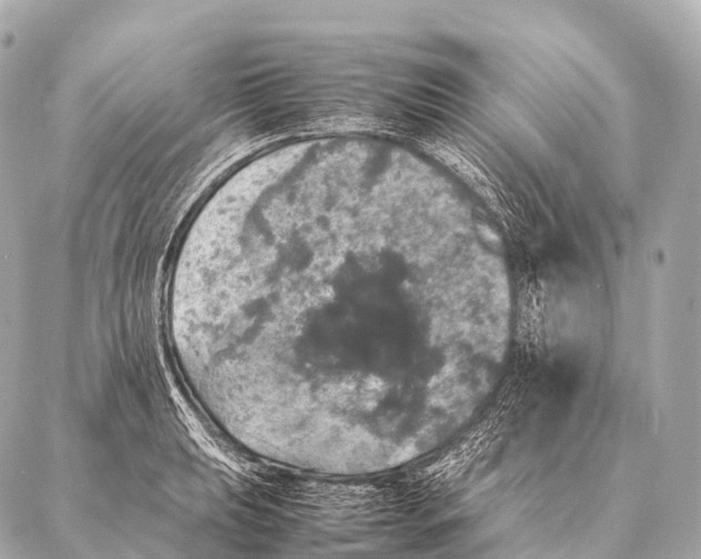 X0000087021039200705141851