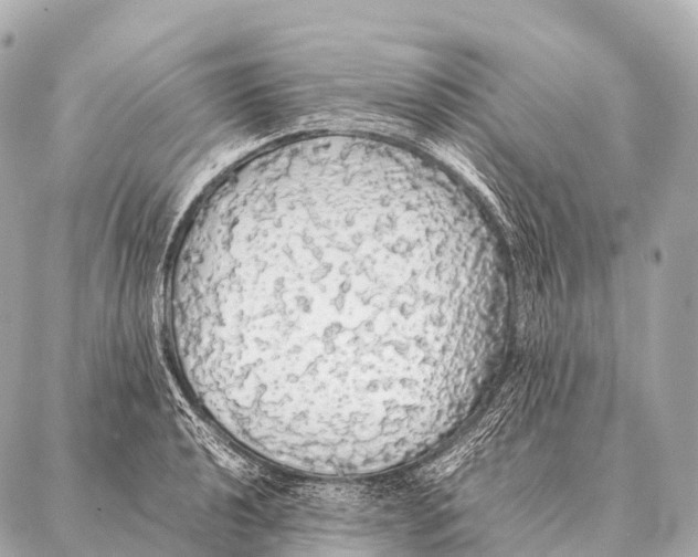 X0000087021040200705141851