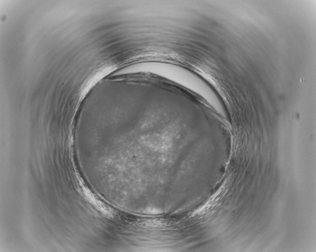 X0000087021042200705141851