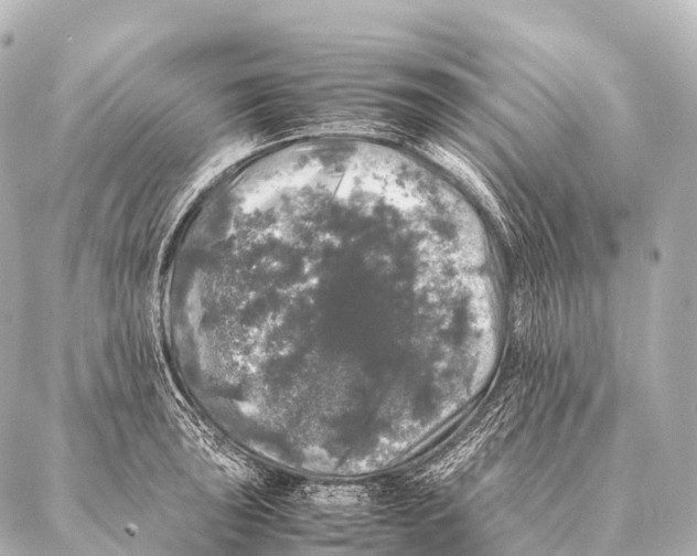 X0000087021043200705141851