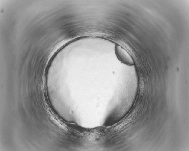 X0000087021044200705141851