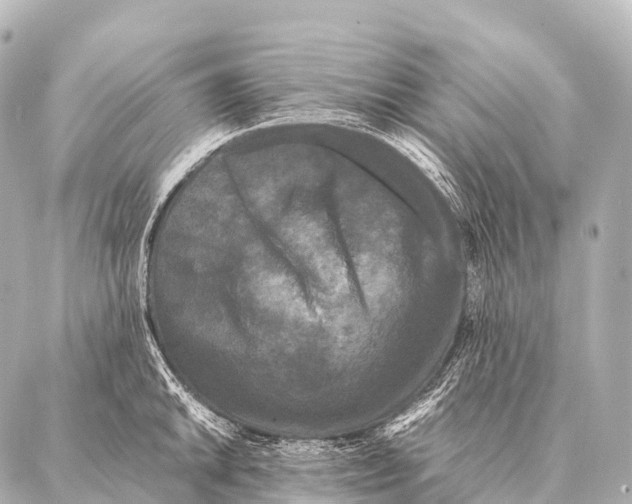 X0000087021046200705141851