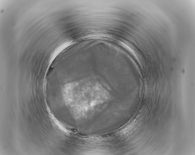 X0000087021050200705141851