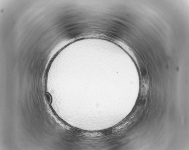 X0000087021053200705141851