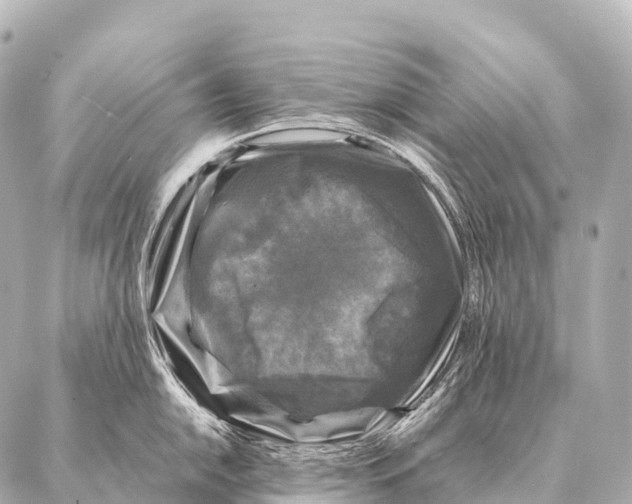 X0000087021054200705141851