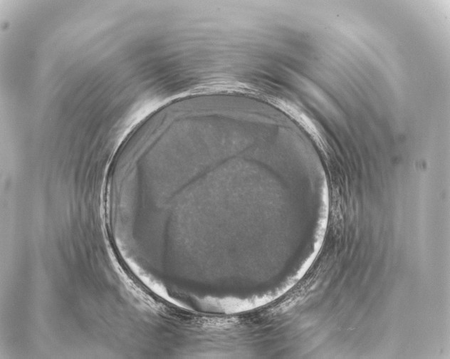 X0000087021055200705141851