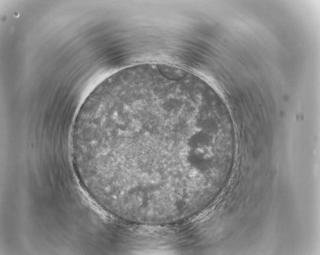 X0000087021056200705141852