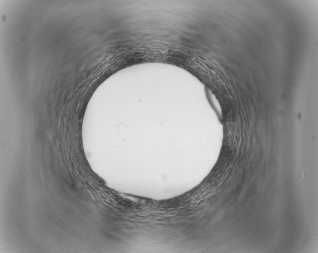 X0000087021057200705141851