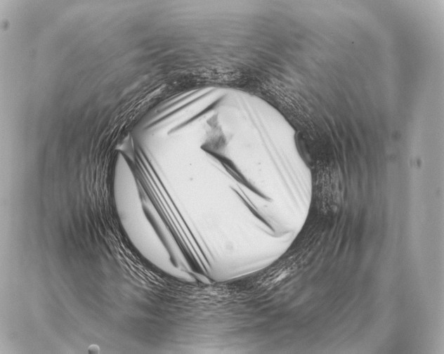 X0000087021058200705141851