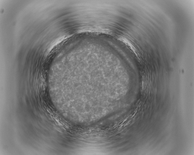 X0000087021064200705141851