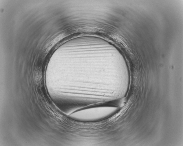 X0000087021065200705141851