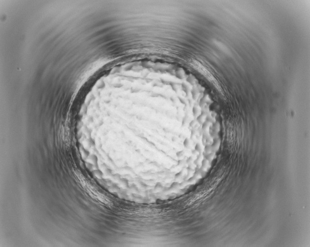 X0000087021068200705141851