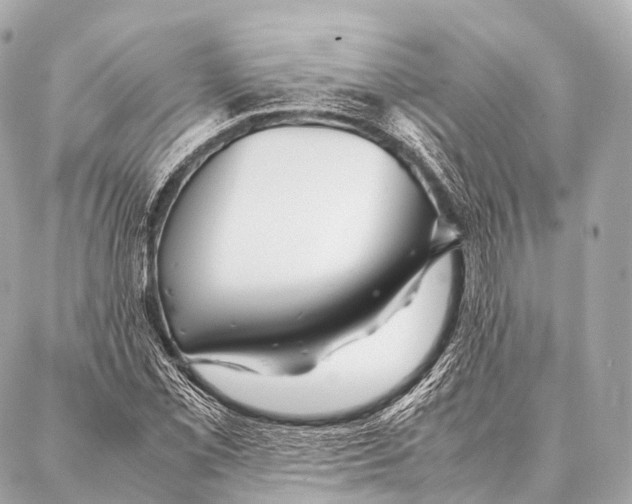 X0000087021069200705141851