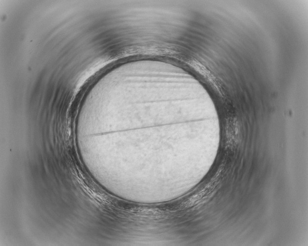 X0000087021070200705141851