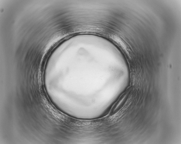 X0000087021072200705141850