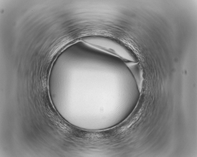 X0000087021073200705141850