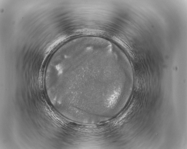 X0000087021074200705141850