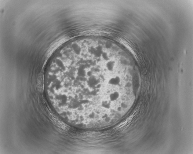 X0000087021075200705141850