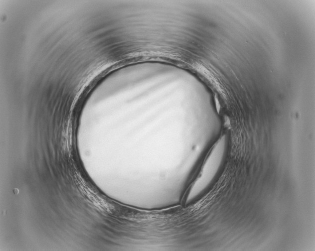 X0000087021076200705141850