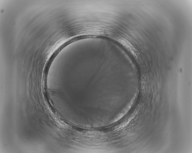 X0000087021077200705141850