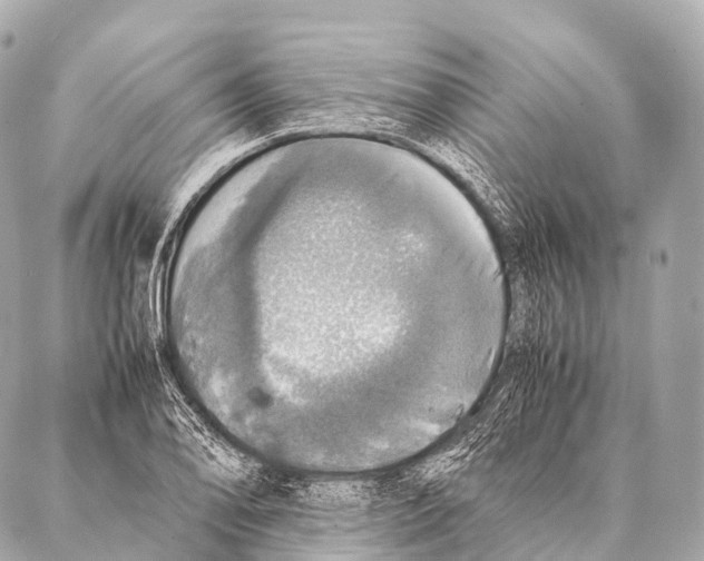 X0000087021078200705141850