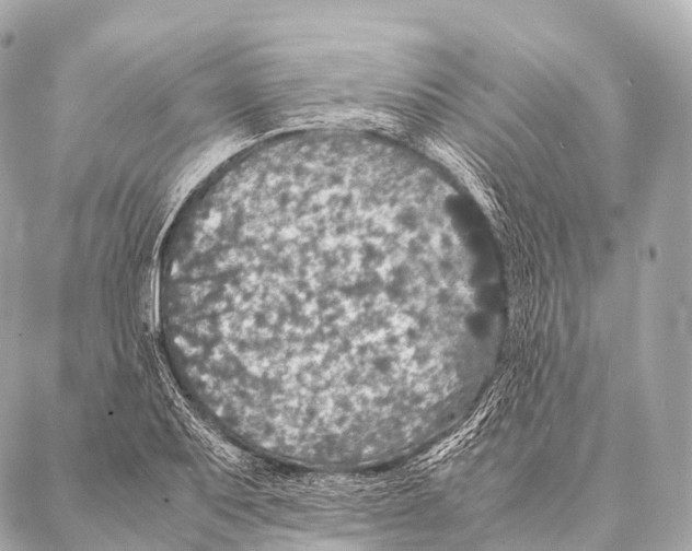 X0000087021079200705141850