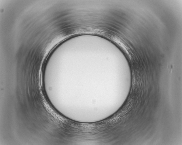 X0000087021080200705141850