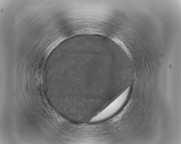 X0000087021081200705141850