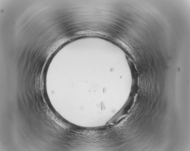 X0000087021082200705141850