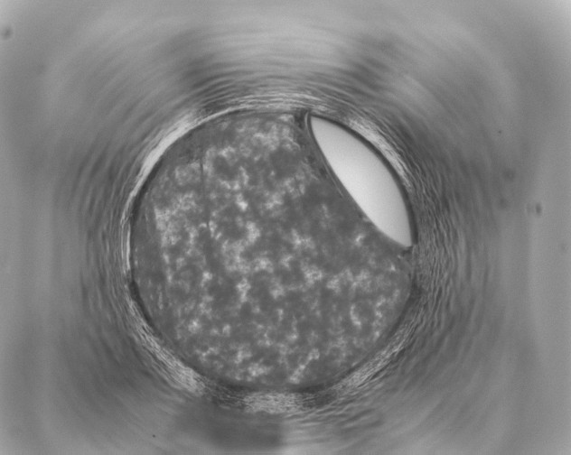 X0000087021083200705141850