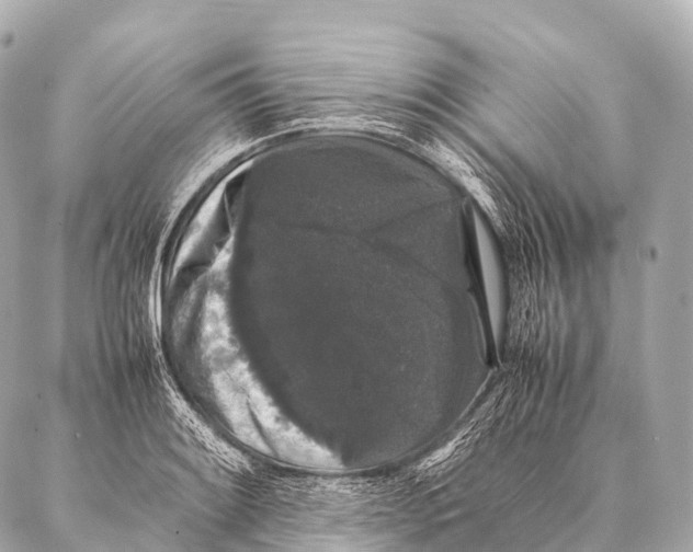 X0000087021084200705141850