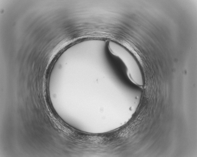 X0000087021085200705141850