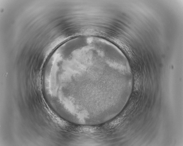 X0000087021086200705141850