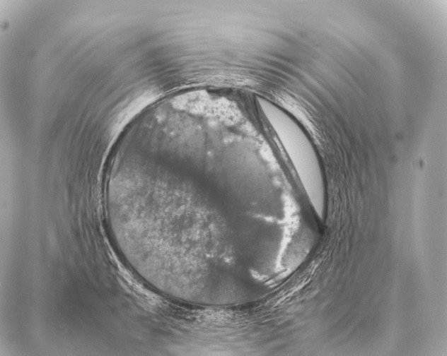 X0000087021087200705141850