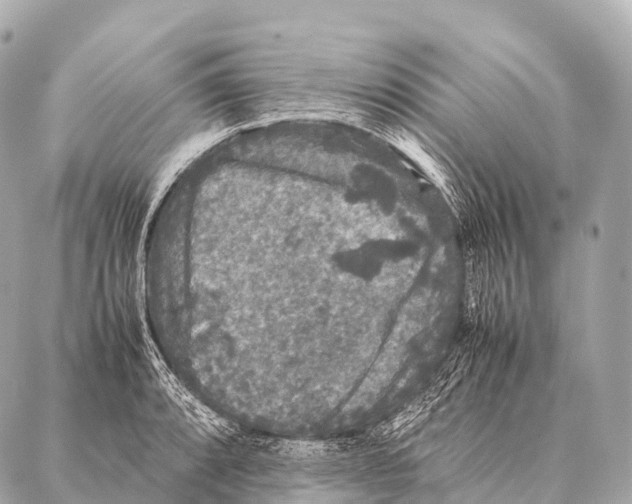 X0000087021088200705141850